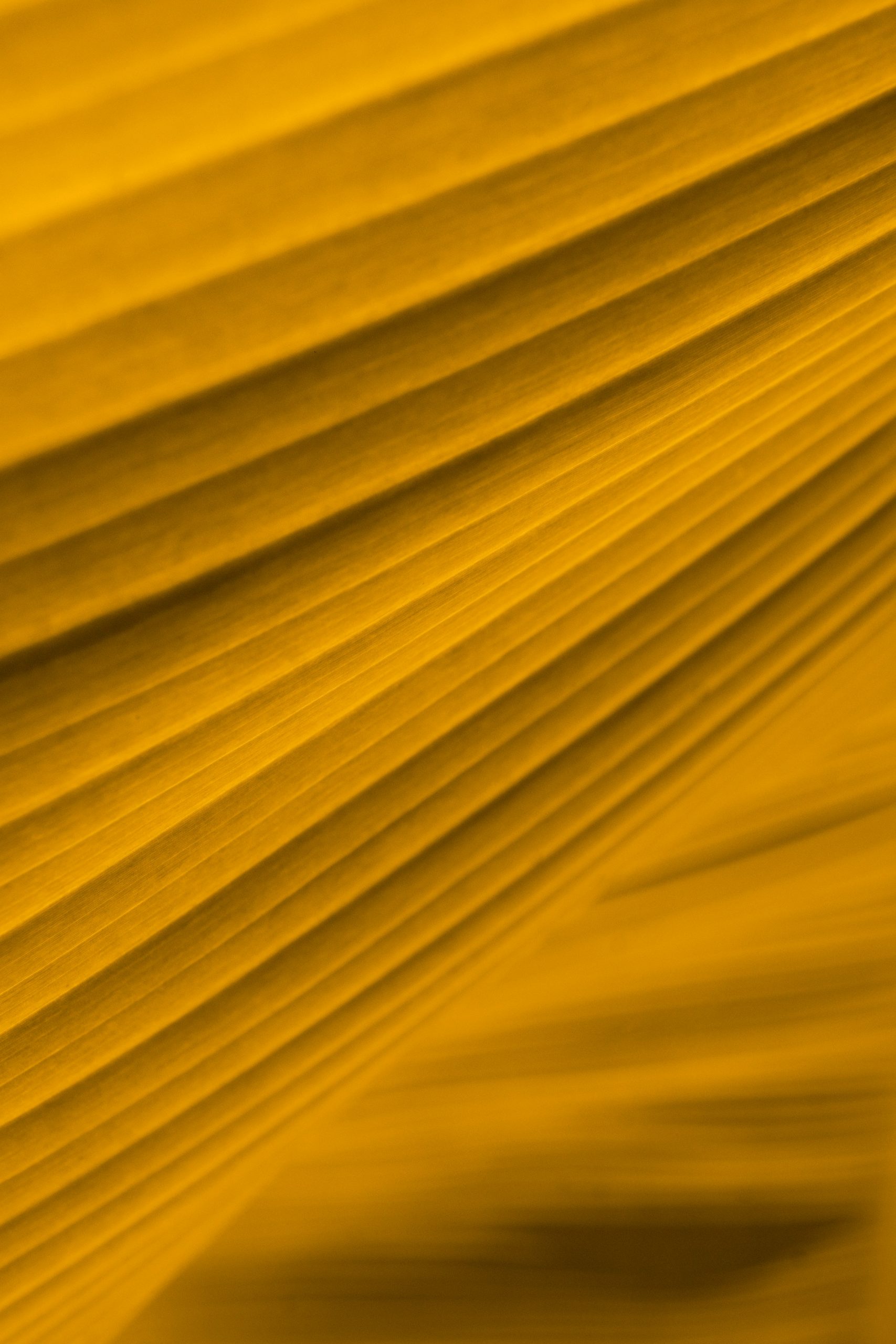 1000000515